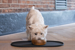 Beeztees DBL Mama Su Kabı Servisi, Silikon, Kaymaz, Antrasit, 45x25x1,5cm - 5