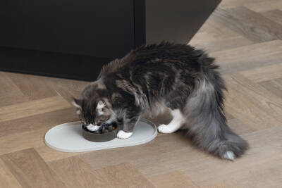 Beeztees DBL Mama Su Kabı Servisi, Silikon, Kaymaz, Bej, 45x25x1,5cm - 4