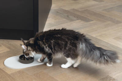 Beeztees DBL Mama Su Kabı Servisi, Silikon, Kaymaz, Bej, 45x25x1,5cm - 3