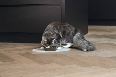 Beeztees DBL Mama Su Kabı Servisi, Silikon, Kaymaz, Bej, 45x25x1,5cm - 2