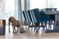 Beeztees DBL Mama Su Kabı Servisi, Silikon, Kaymaz, Bej, 55x30x1,7cm - 3