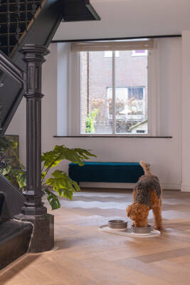 Beeztees DBL Mama Su Kabı Servisi, Silikon, Kaymaz, Bej, 55x30x1,7cm - 5