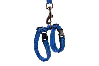 Beeztees Kedi Göğüs Tasması ve Gezdirme Kayışı, 130cm, Mavi - 1