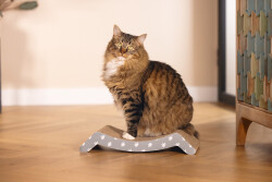 Beeztees Kedi Karton Tırmalama, 44,5cm - 2