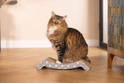 Beeztees Kedi Karton Tırmalama, 44,5cm - 2