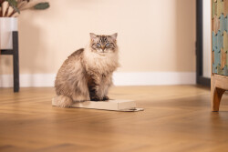 Beeztees Kedi Karton Tırmalama, Bej, 45cm - 3