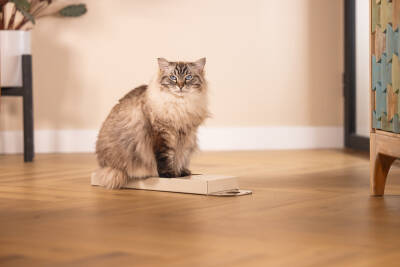 Beeztees Kedi Karton Tırmalama, Bej, 45cm - 3