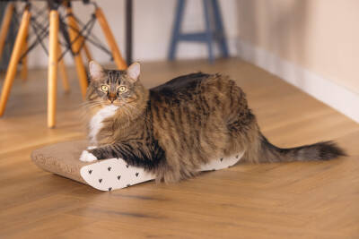 Beeztees Kedi Karton Tırmalama, Bej, 50cm - 2