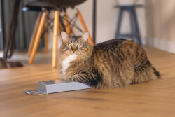 Beeztees Kedi Karton Tırmalama, Mavi, 45cm - 2