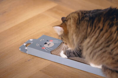 Beeztees Kedi Karton Tırmalama, Mavi, 45cm - 3