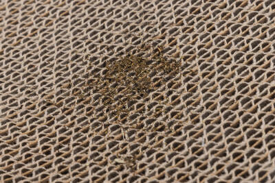 Beeztees Kedi Karton Tırmalama ve Kediotu, 52x21x10cm - 5