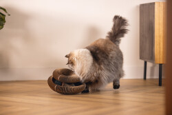 Beeztees Kedi Karton Tırmalama ve Oyuncağı, 24x10cm - 2