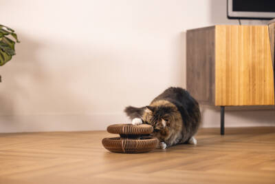 Beeztees Kedi Karton Tırmalama ve Oyuncağı, 24x10cm - 3