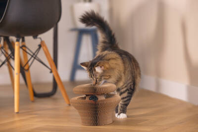 Beeztees Kedi Karton Tırmalama ve Oyuncağı, 38x10cm - 3