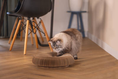 Beeztees Kedi Karton Tırmalama ve Oyuncağı, 38x10cm - 4