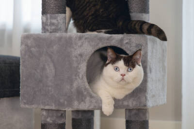 Beeztees Kedi Köşe Tırmalama ve Oyun Evi, Gri, 40x40x135cm - 5