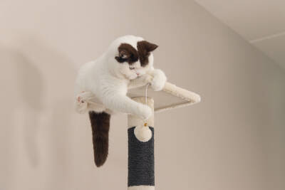 Beeztees Kedi Köşe Tırmalama ve Oyun Evi, Krem, 40x40x135cm - 5