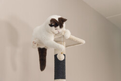 Beeztees Kedi Köşe Tırmalama ve Oyun Evi, Krem, 40x40x135cm - 5