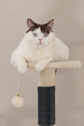 Beeztees Kedi Köşe Tırmalama ve Oyun Evi, Krem, 40x40x135cm - 3