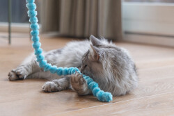 Beeztees Kedi Oltası, Peluş Toplar - 2