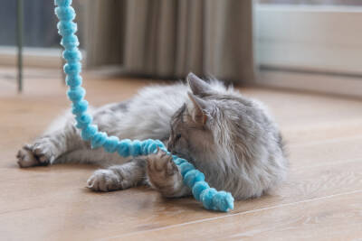 Beeztees Kedi Oltası, Peluş Toplar - 2