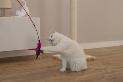 Beeztees Kedi Oltası, Tüylü, Çeşitli Renklerde, - 3