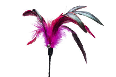 Beeztees Kedi Oltası, Tüylü, Çeşitli Renklerde, - 5