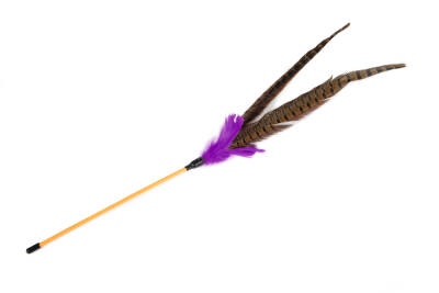 Beeztees Kedi Oltası, Ucu Tüylü-10cm, 30cm - 3