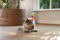 Beeztees Kedi Oltası, Zilli, Peluş Oyuncaklı, - 4