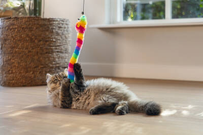 Beeztees Kedi Oltası, Zilli, Peluş Oyuncaklı, - 3