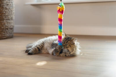 Beeztees Kedi Oltası, Zilli, Peluş Oyuncaklı, - 2