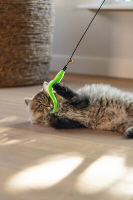 Beeztees Kedi Oltası, Zilli, Peluş Oyuncaklı, Çeşitli Renklerde, - 2