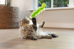 Beeztees Kedi Oltası, Zilli, Peluş Top ve Kuyruk, - 3