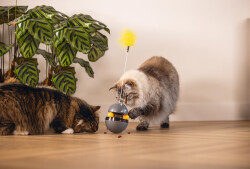 Beeztees Kedi Oyuncağı, Hacıyatmaz, İçinde Top, Ucunda Tüy, 10x10x42cm - 2