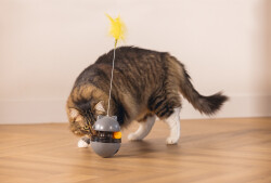 Beeztees Kedi Oyuncağı, Hacıyatmaz, İçinde Top, Ucunda Tüy, 10x10x42cm - 4