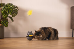 Beeztees Kedi Oyuncağı, Hacıyatmaz, İçinde Top, Ucunda Tüy, 10x10x42cm - 5