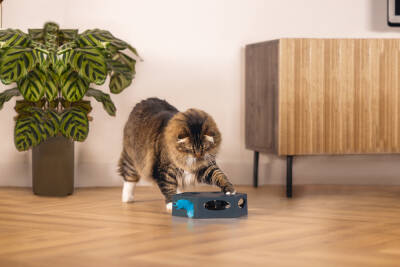 Beeztees Kedi Oyuncağı, İnteraktiv, Tüylü, 23x20x6cm - 2