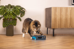 Beeztees Kedi Oyuncağı, İnteraktiv, Tüylü, 23x20x6cm - 2