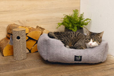 Beeztees Kedi Oyuncağı, Karton Silindir ve Püskül, 23x10x10cm - 2