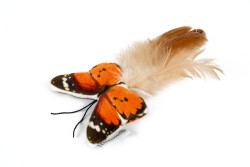 Beeztees Kedi Oyuncağı, Kelebek, Tüylü, 8x16x2cm - Beeztees