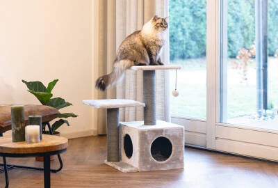 Beeztees Kedi Tırmalama, Gri, 45x34x70cm - 2