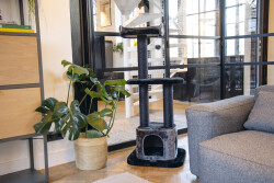 Beeztees Kedi Tırmalama ve Oyun Evi, Siyah/Gri, 50x50x120cm - 2