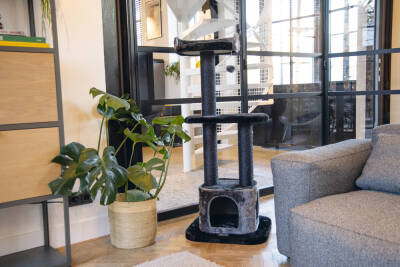 Beeztees Kedi Tırmalama ve Oyun Evi, Siyah/Gri, 50x50x120cm - 2