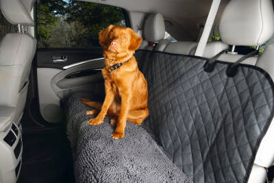 Beeztees Köpek Arka Koltuk Yatağı ve Örtüsü, Yıkanabilir, Gri, 136x148cm - 1