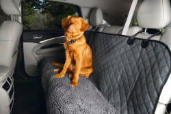 Beeztees Köpek Arka Koltuk Yatağı ve Örtüsü, Yıkanabilir, Gri, 136x148cm - Beeztees