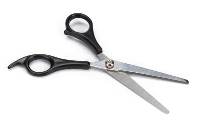 Beeztees Köpek Bakım Makası, Siyah, 17cm, 17x6x1cm - 3