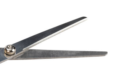 Beeztees Köpek Bakım Makası, Siyah, 17cm, 17x6x1cm - 4