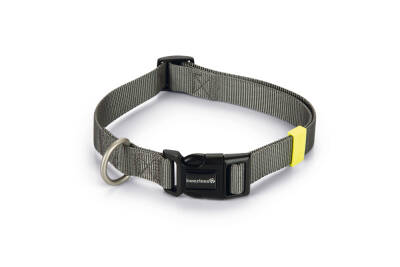 Beeztees Köpek Boyun Tasması, Antrasit, 48-70cm - 1