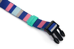 Beeztees Köpek Boyun Tasması, Renkli Kalın Çizgiler, 48-70cm, 25mm - 2