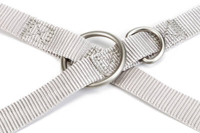 Beeztees Köpek Gezdirme Kayışı, Açık Gri, 120cm, 20mm - 3